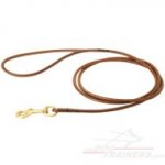 Fully Beneficial Show Leather Dog Leash - Comfort for You and Your Dog