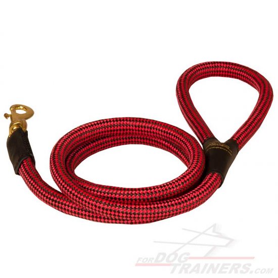 Nylon Cord Dog Leash for Walking and Training