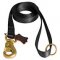 Any Weather Nylon Dog Leash for Walking, Tracking, Training