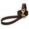 Nylon Dog Leash for Walking, Training, Tracking and Police Work
