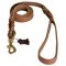 Walking and Training Leather Dog Leash with Comfy Handle