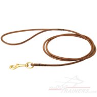 Fully Beneficial Show Leather Dog Leash - Comfort for You and Your Dog
