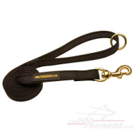 All Weather Nylon Dog Leash for Walking and Training Activities