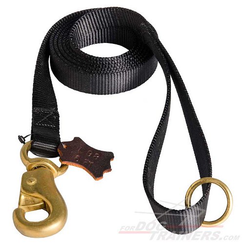 Any Weather Nylon Dog Leash for Walking, Tracking, Training