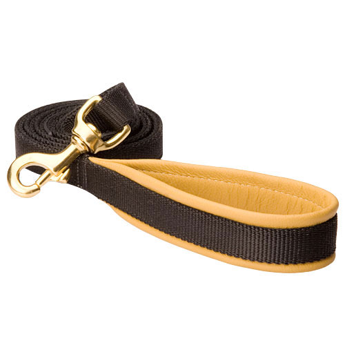 No Rubbing Nylon Dog Leash with Support Leather Material on the Handle