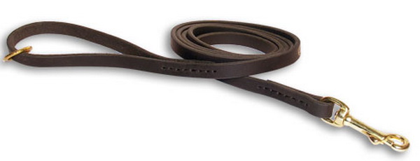 Handcrafted Leather Dog Leash for Walking and Tracking