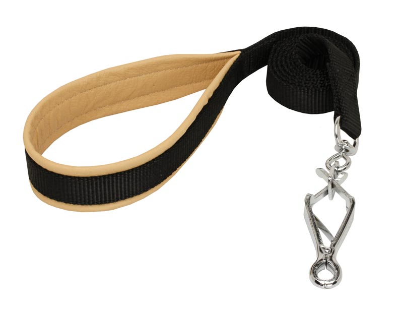 Dog Nylon Leash for Walking and Training