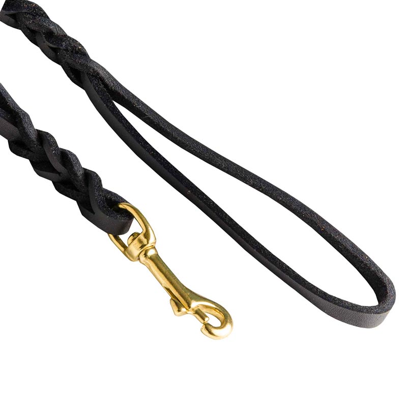Braided Dog Leash with Snap Hook Easy Connected with Canine Collar for Dog