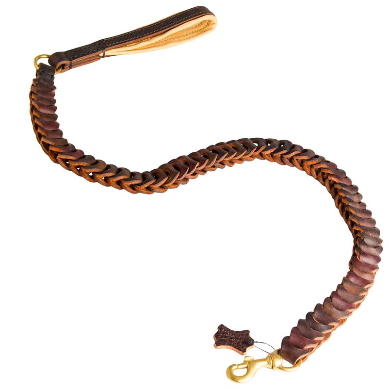 Dog Leash Leather for Successful Training