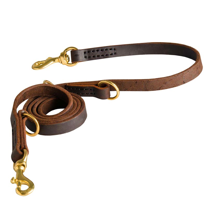 leather dog leash