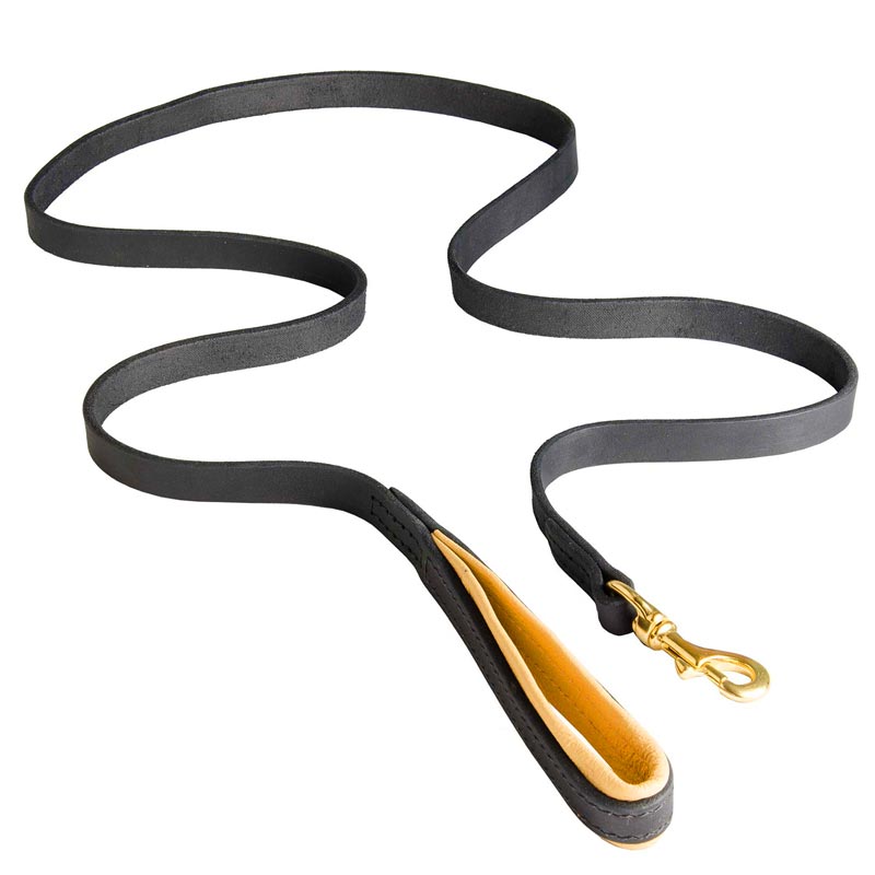 Padded Leather Leash for Dog Comfortable Walking