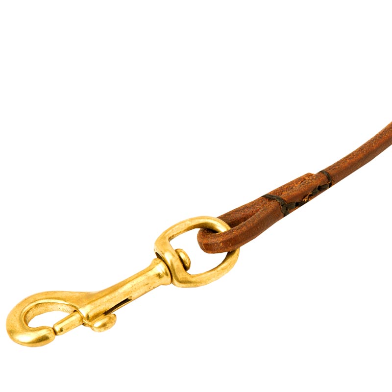 Dog Round Leather Leash with Massive Snap Hook