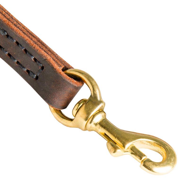 Dog Leather Leash with Brass Hardware