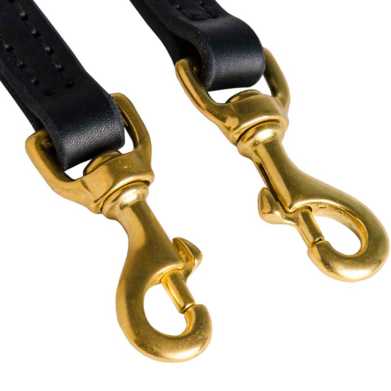 Leather Leash for Dog with Rust Resistant Snap Hooks