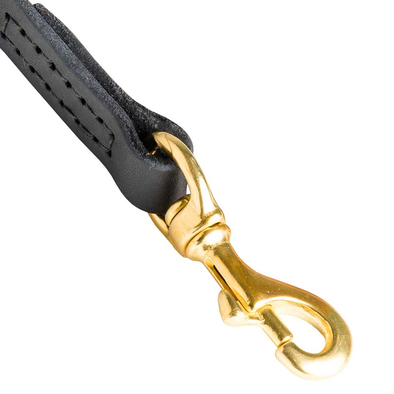 Dog Leather Leash with Massive Gold-like Snap Hook