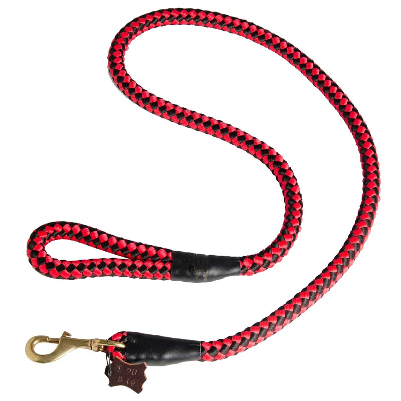 Dog Red Nylon Leash for Walking and Training