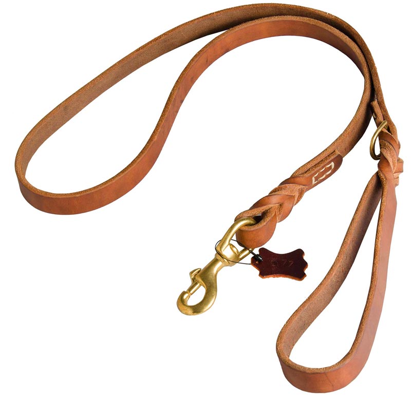 Canine Leather Leash for Dog