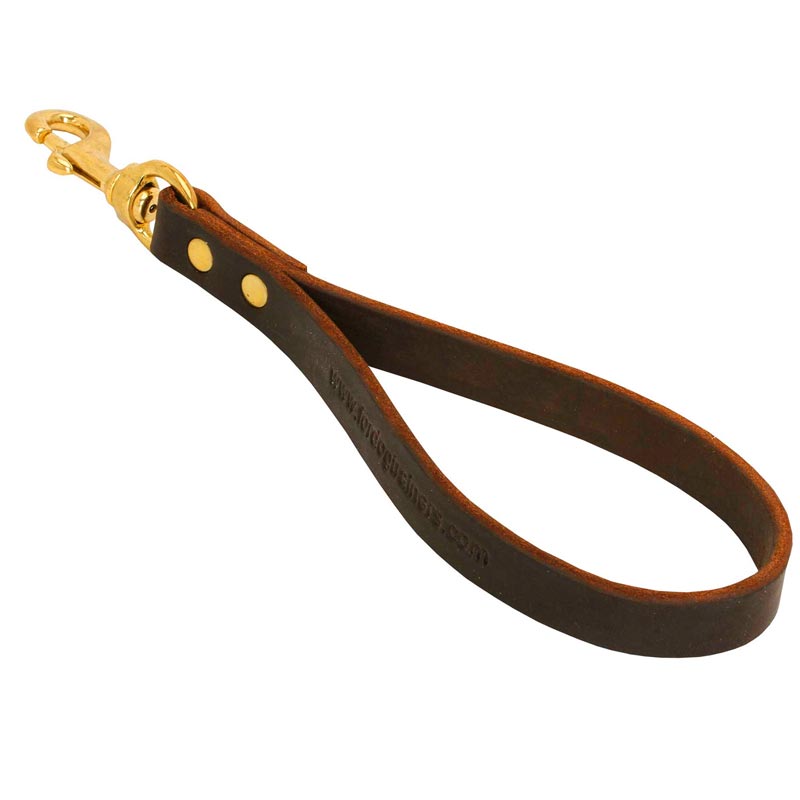 Dog Leather Brown Leash for Making Dog Obedient
