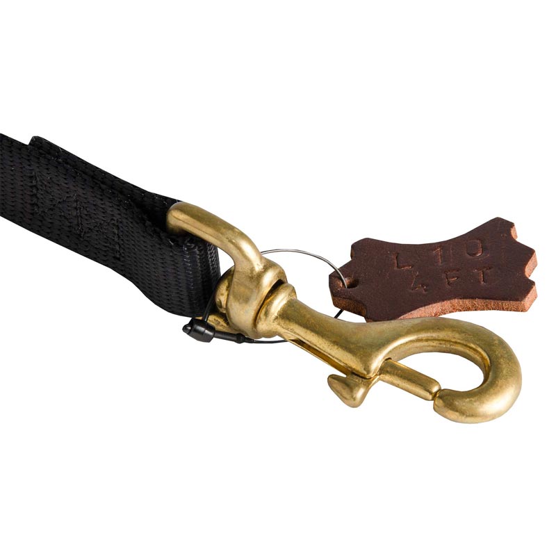 Nylon Dog Leash with Dependably Stitched Brass Snap Hook