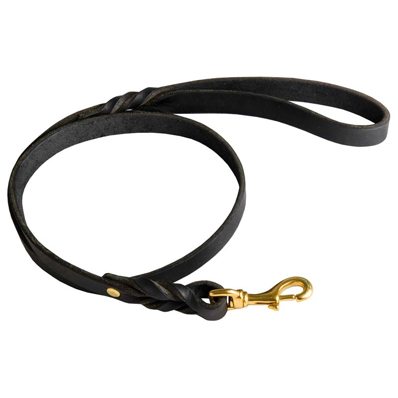 Best Training Dog Leash with Braided Details on Opposite Sides