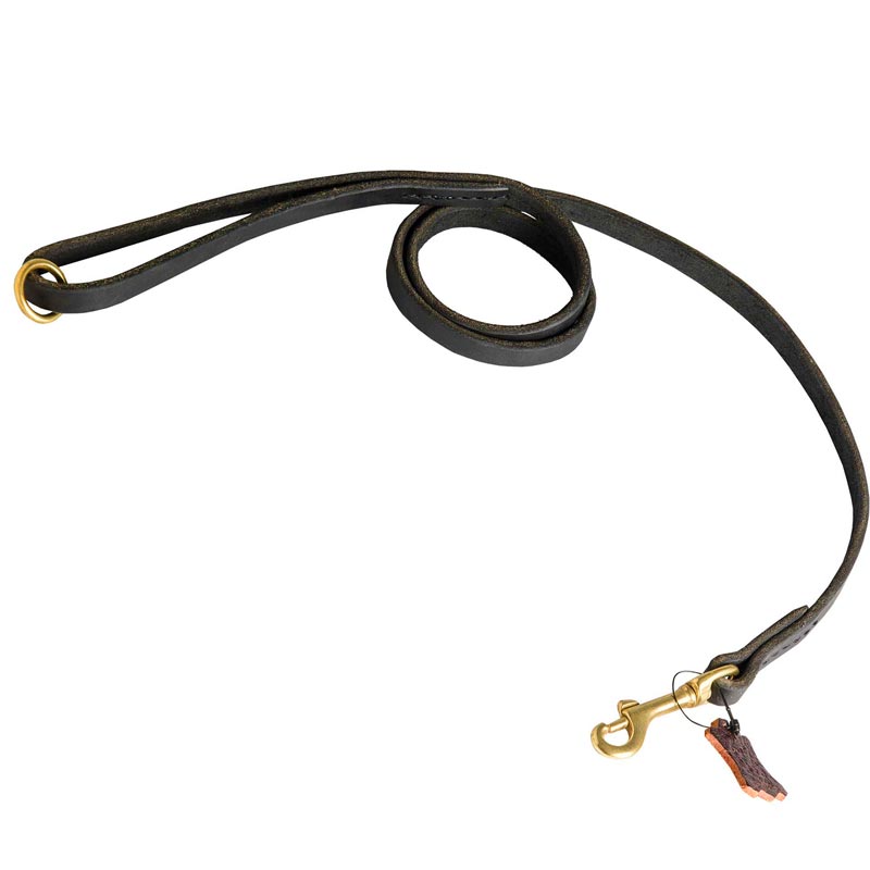 Strong Leather Dog Leash for Popular Dog Activities