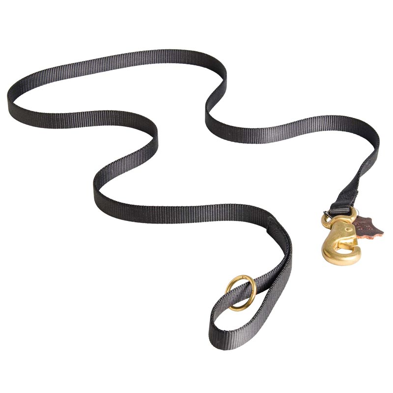 All Weather Nylon Leash for Dog Tracking and Training