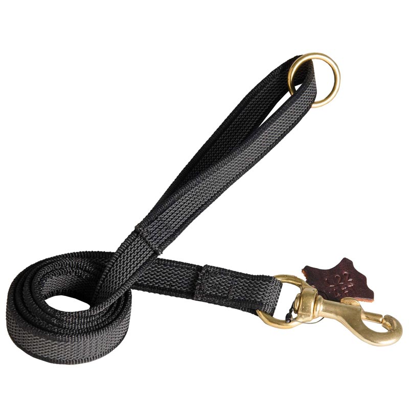 Nylon Leash for Dog Training will Help to Achieve Great Results