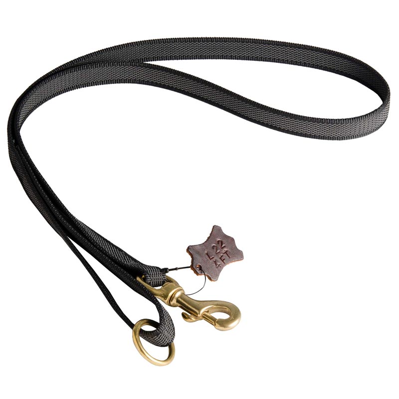 All Weather Nylon Leash for Dog Walking