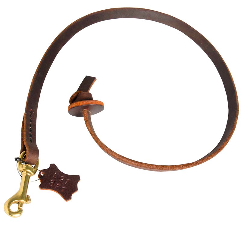 Brown Leather Dog Leash for Training