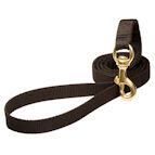 Nylon Dog Leash for Walking, Training, Tracking and Police Work