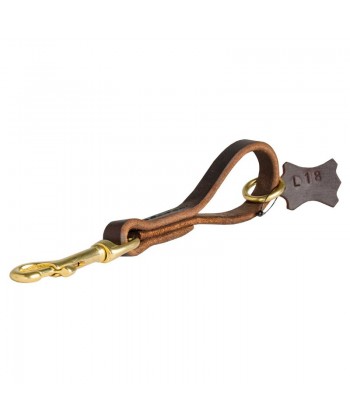 Easy Quick Grab Pull Tab Fully Leather Dog Leash